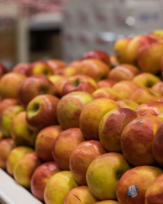 Fresh Apple