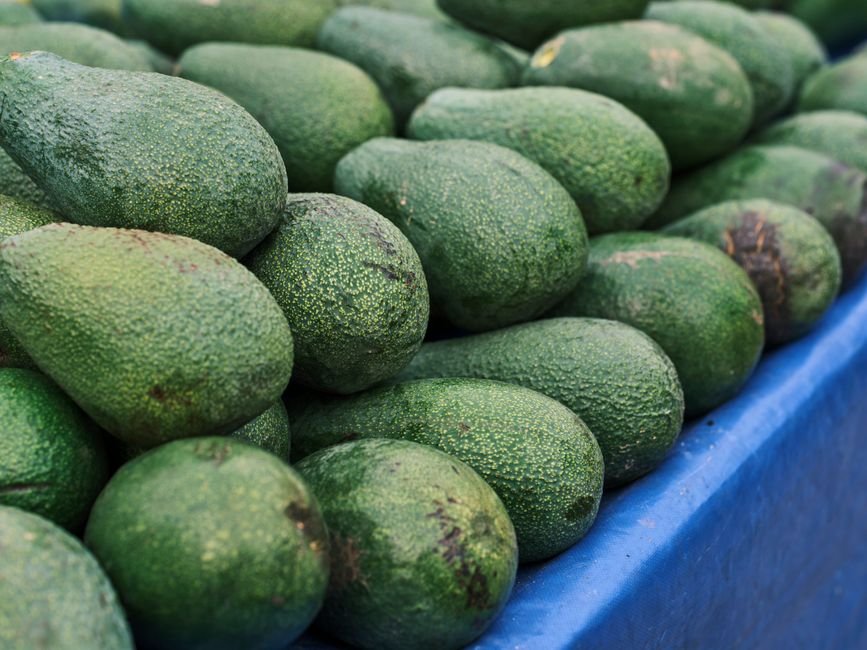 Fresh Avocado