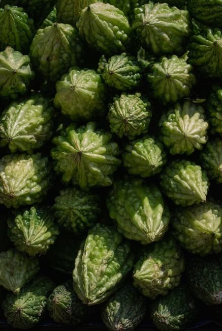 Fresh Bitter Gourd