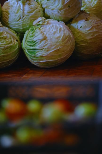 Fresh Cabbage