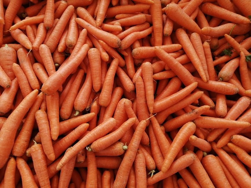Fresh Carrot