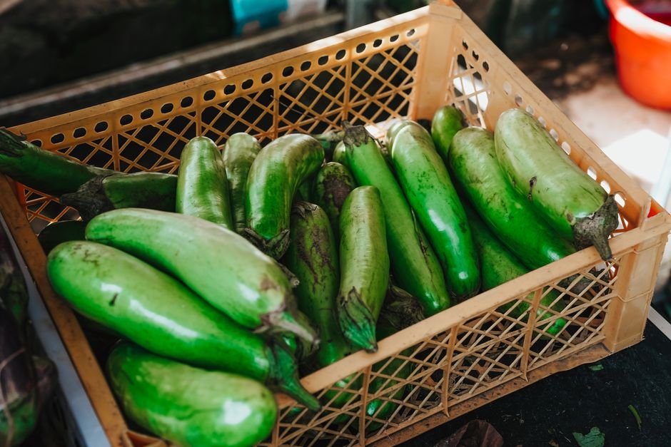 Fresh Eggplant