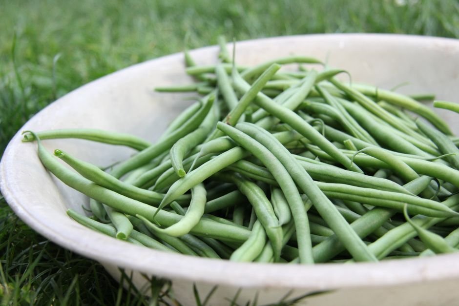 Fresh Green Beans