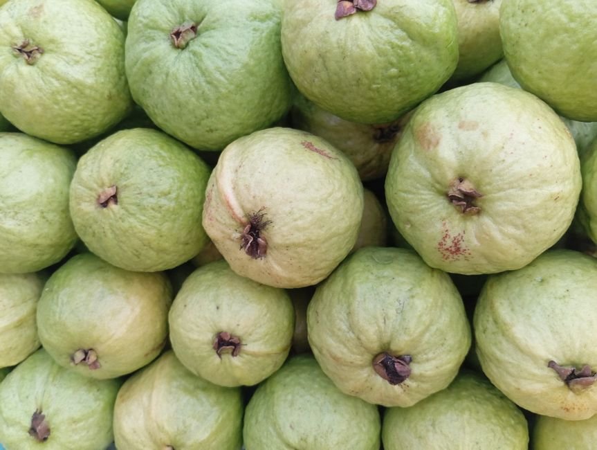 Fresh Guava