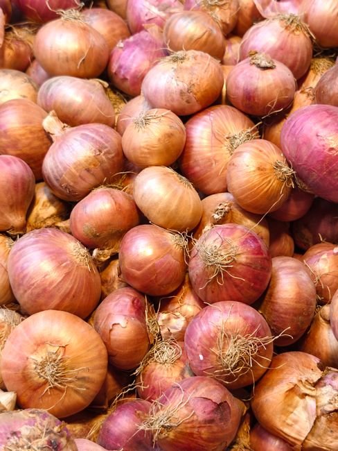 Fresh Onion