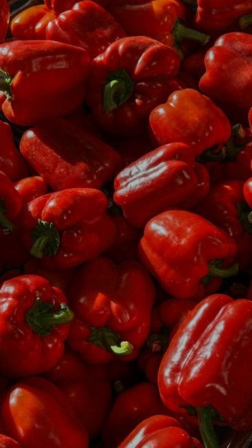 Fresh Red Bell Pepper