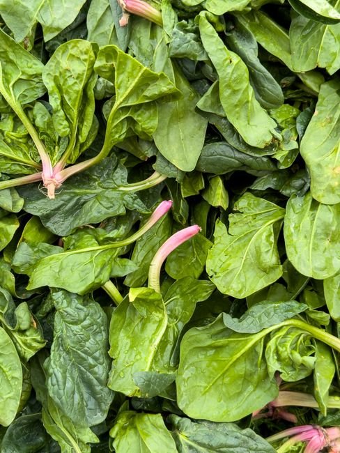 Fresh Spinach