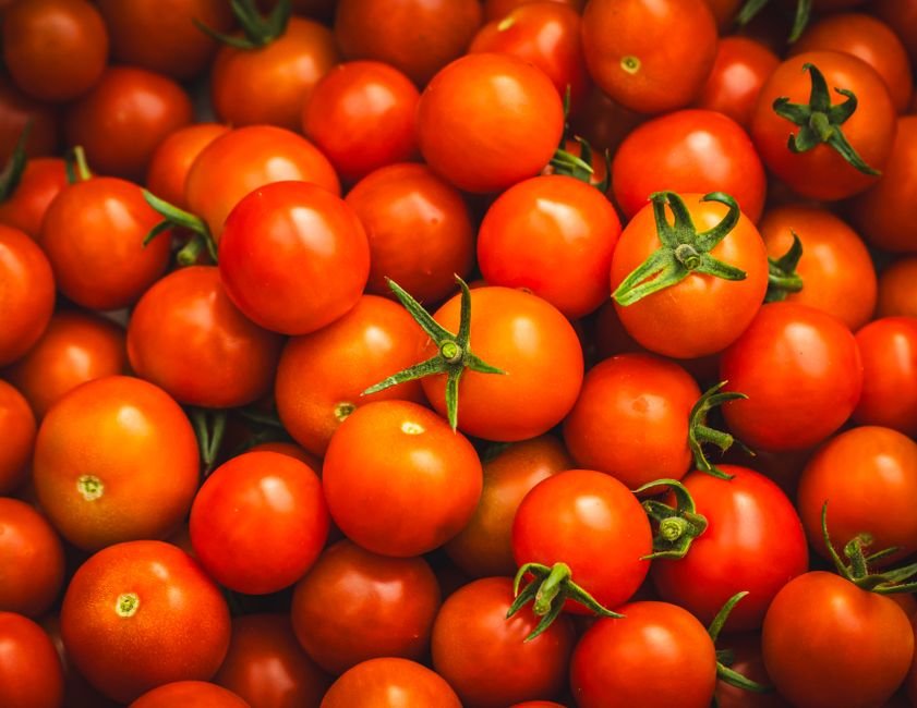 Fresh Tomato